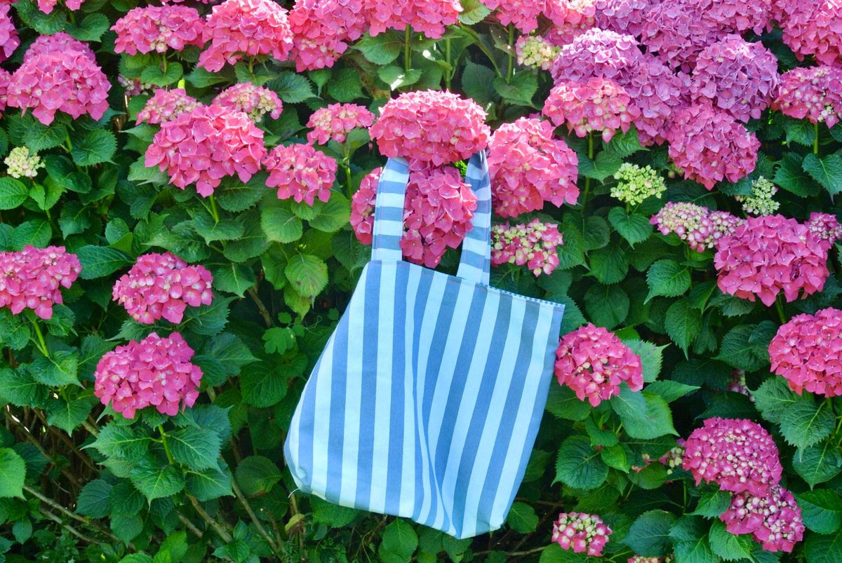Bolsas de Playa