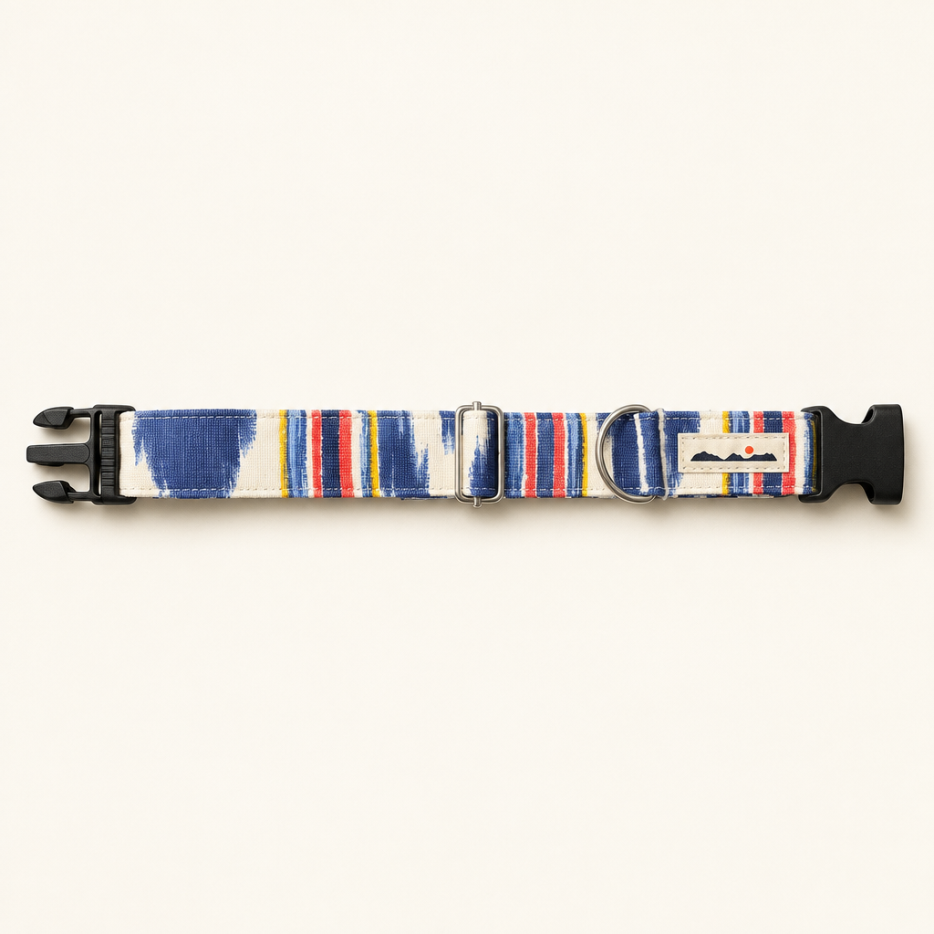 Collar de perro de rayas sobre fondo claro