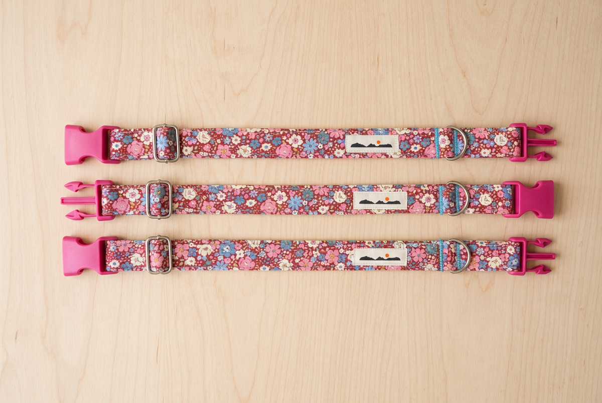 COLLAR PARA PERROS FLORECITAS AZULES, ROSAS Y BLANCAS EN FONDO GRANATE